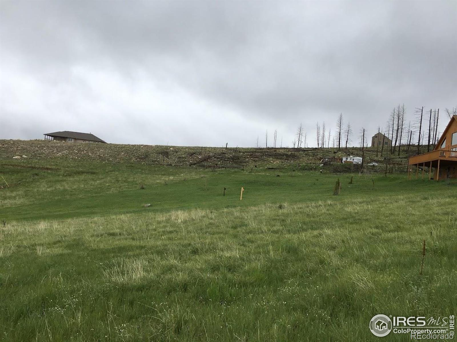 64 Bobcat Mountain Court Livermore CO 80536