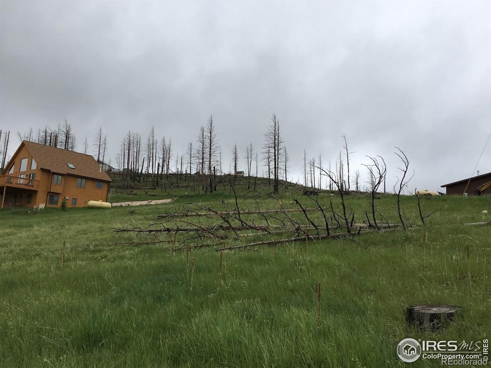 64 Bobcat Mountain Court Livermore CO 80536