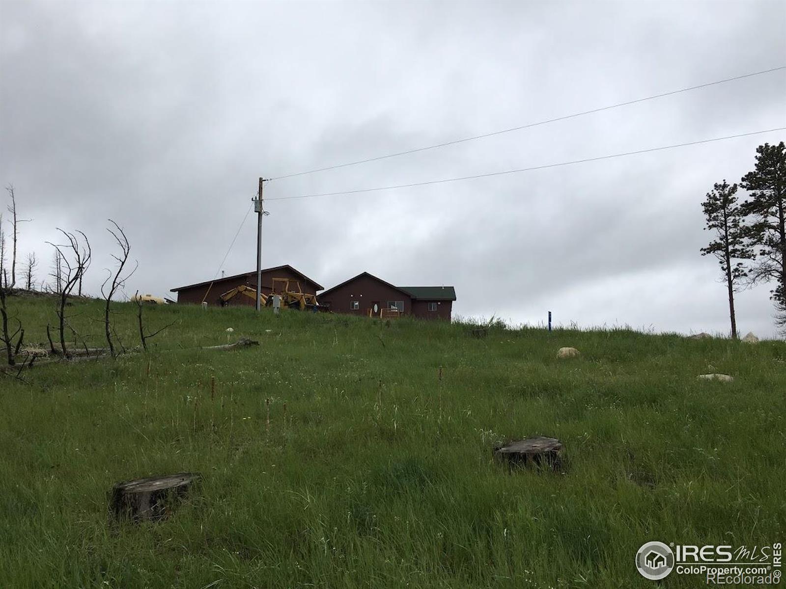 64 Bobcat Mountain Court Livermore CO 80536