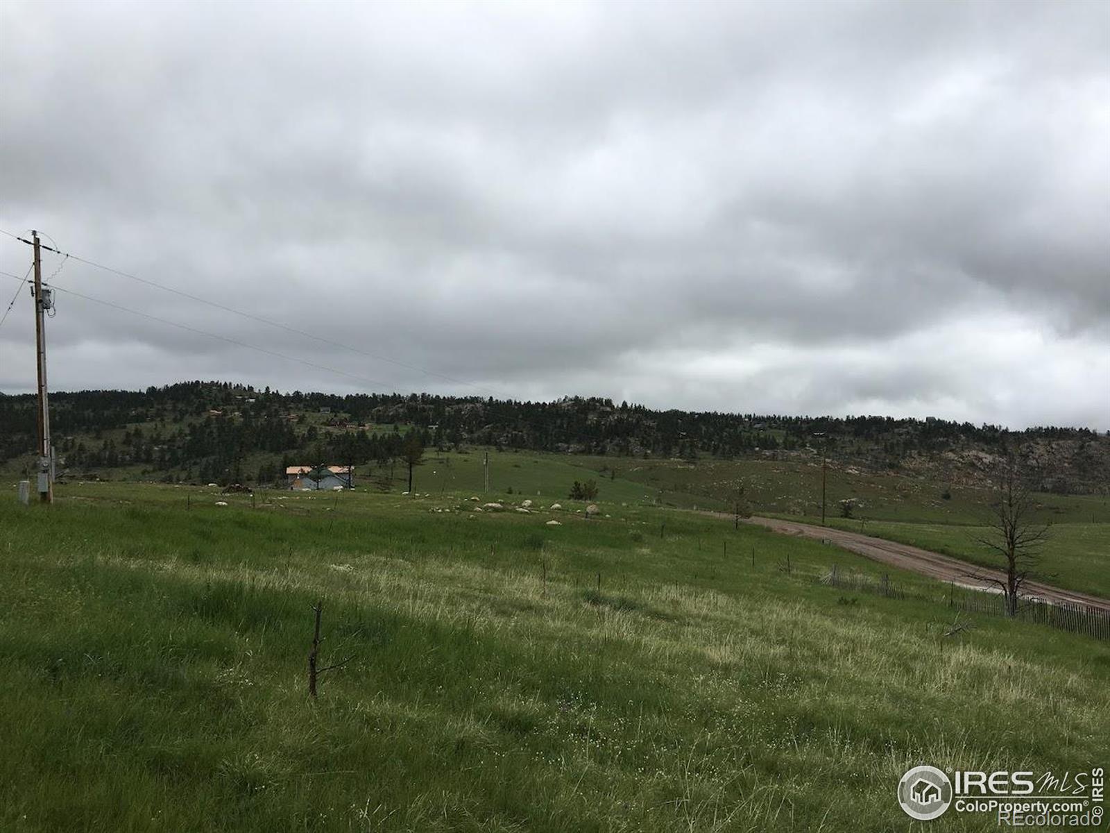 64 Bobcat Mountain Court Livermore CO 80536