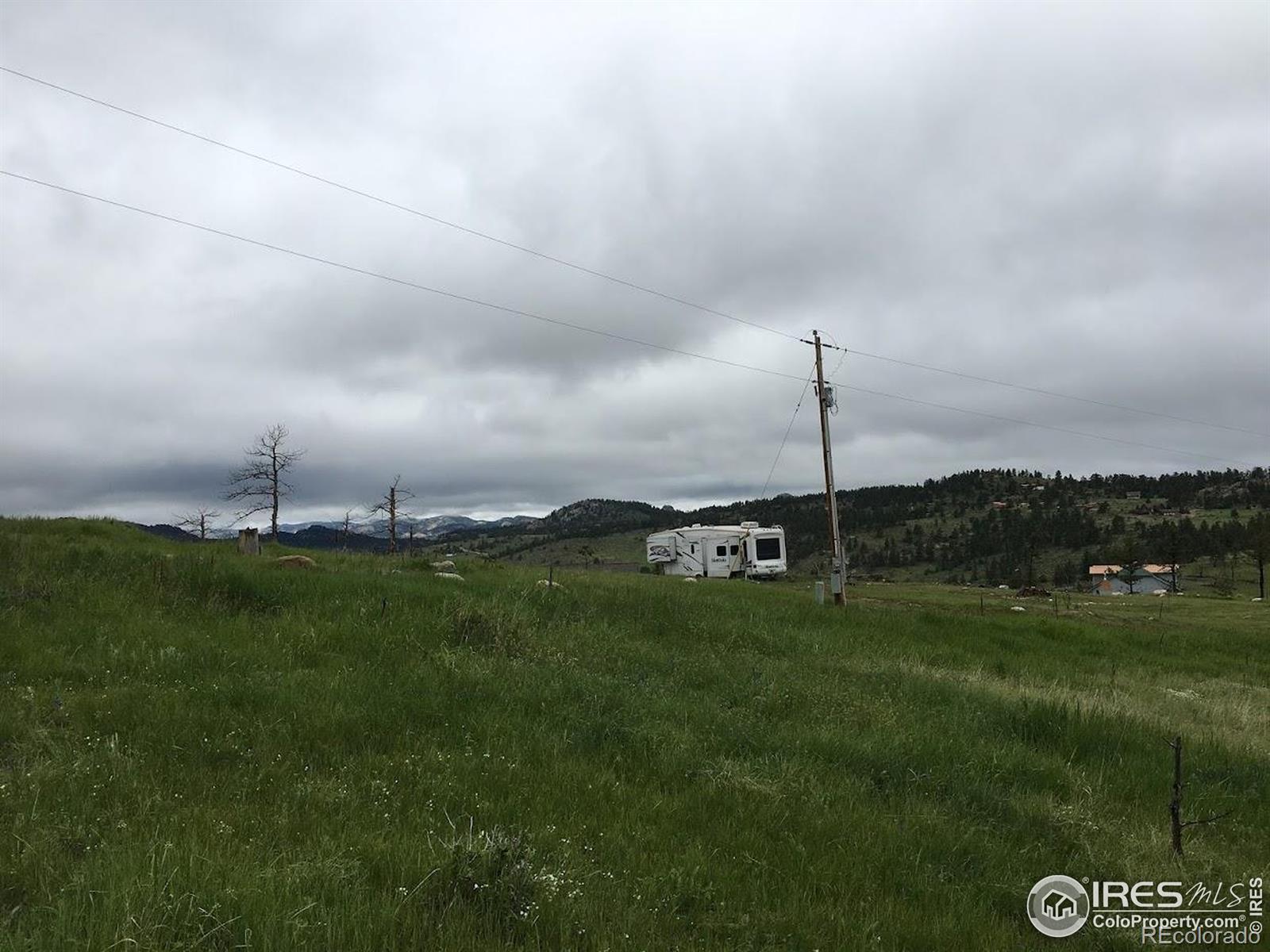 64 Bobcat Mountain Court Livermore CO 80536