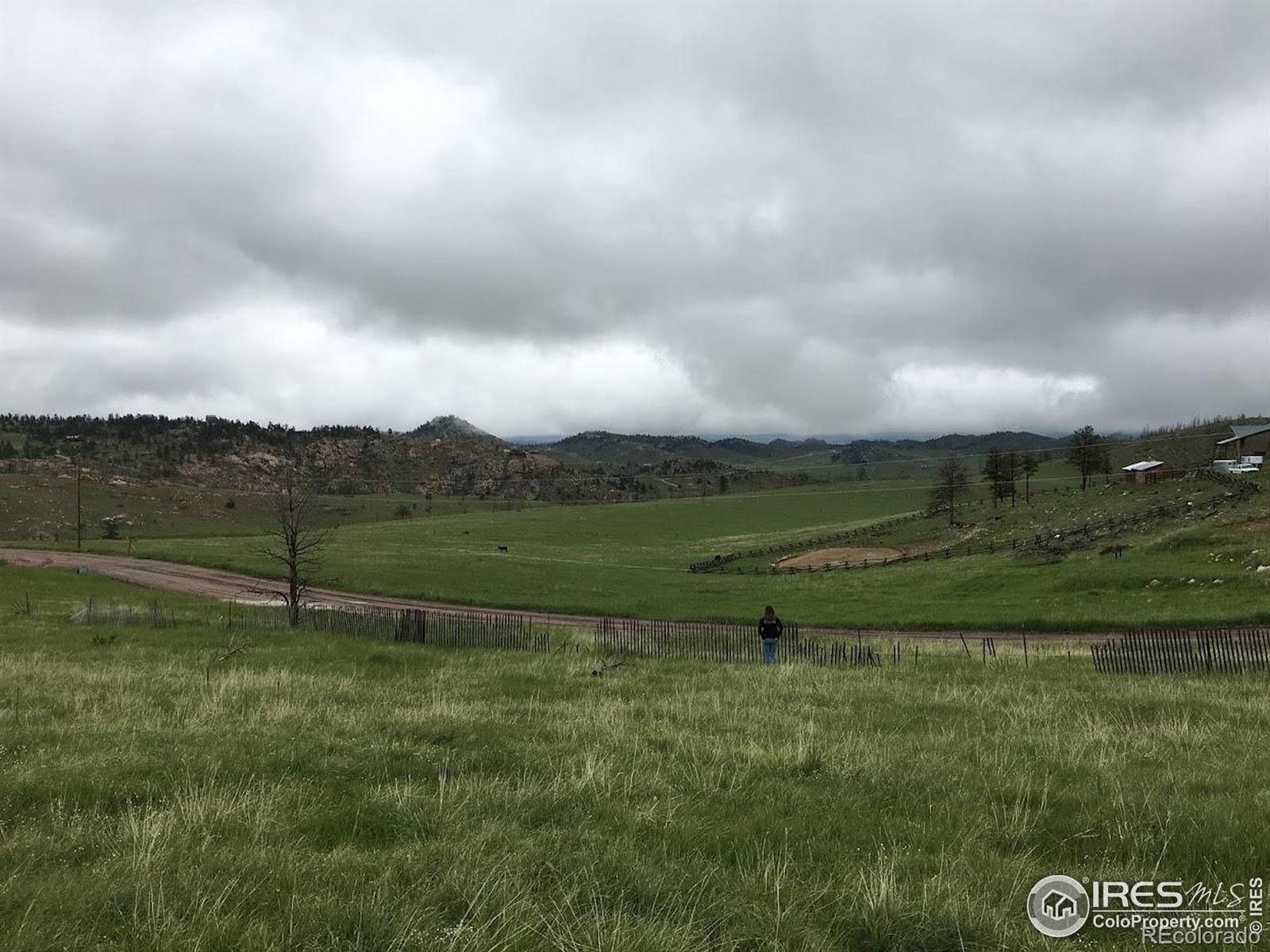 64 Bobcat Mountain Court Livermore CO 80536