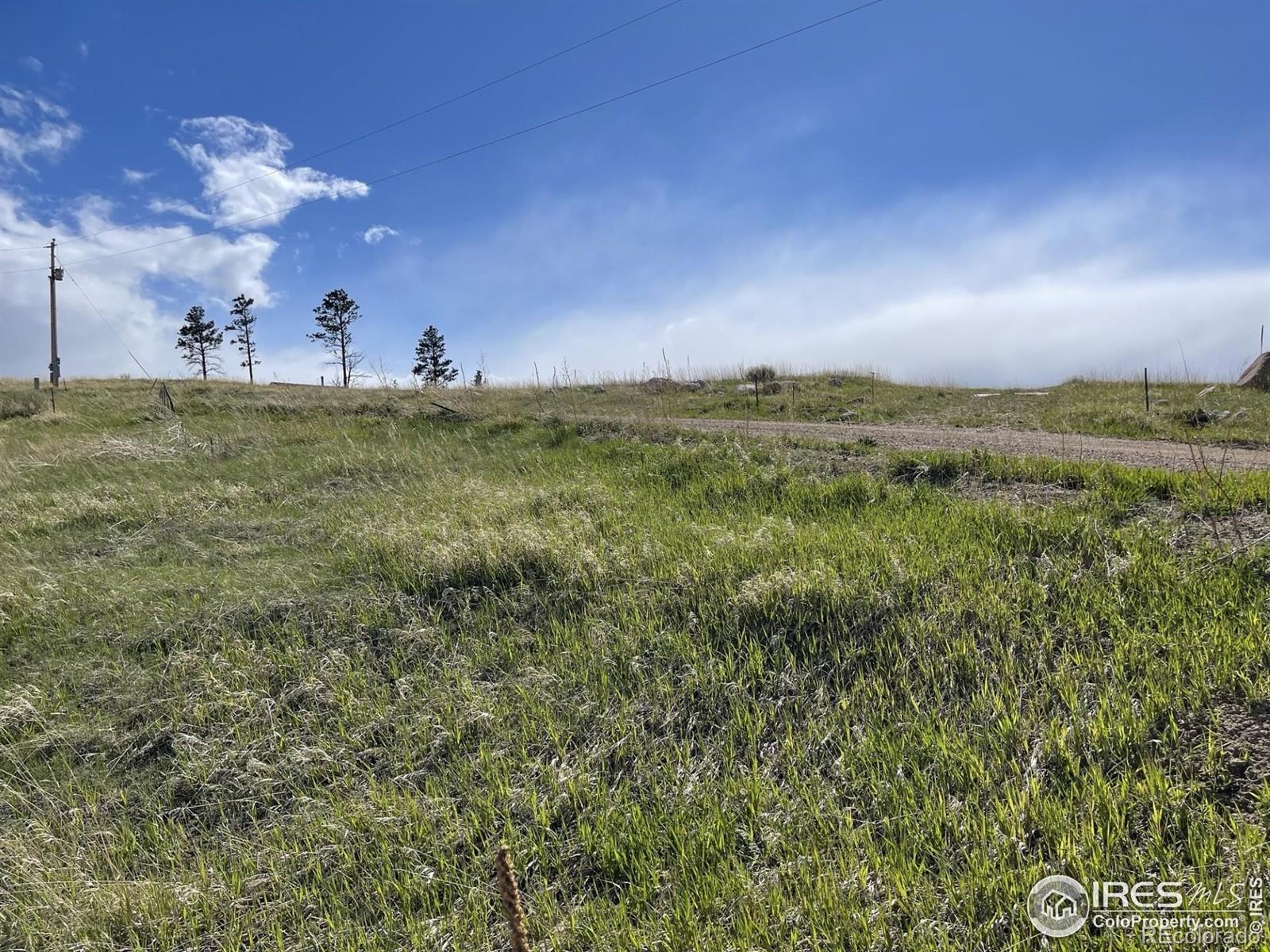 64 Bobcat Mountain Court Livermore CO 80536
