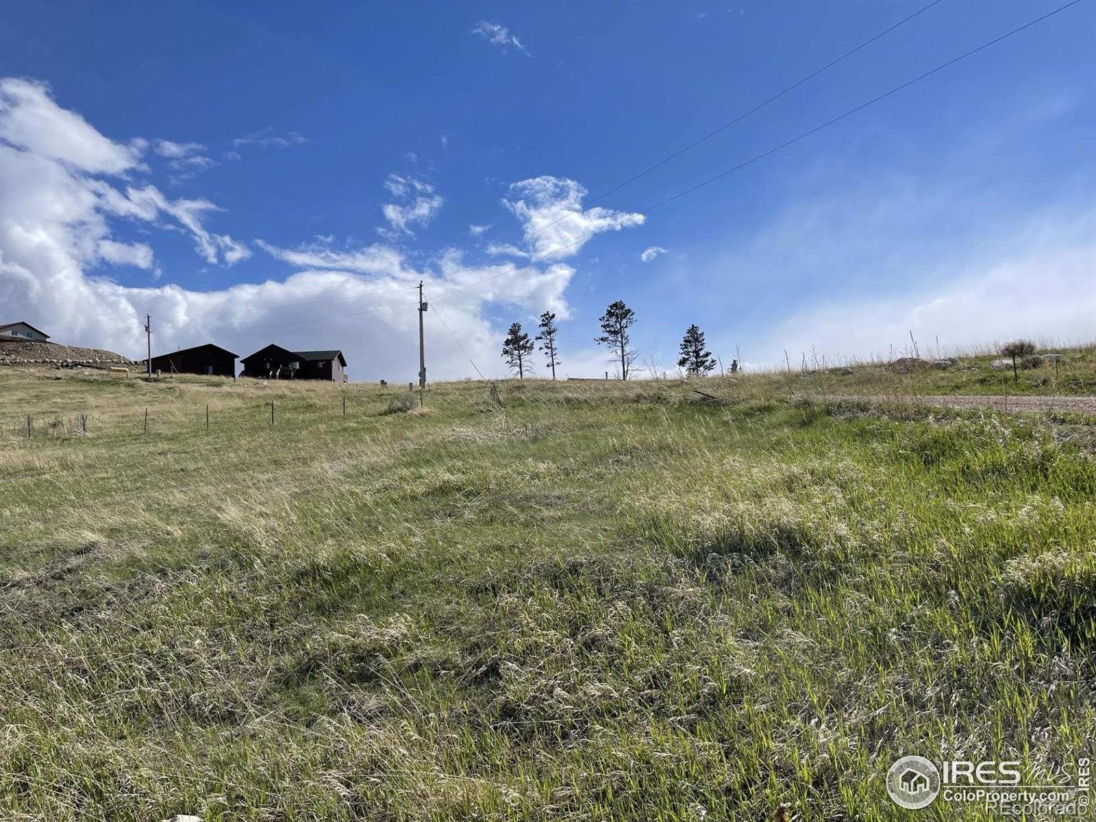 64 Bobcat Mountain Court Livermore CO 80536