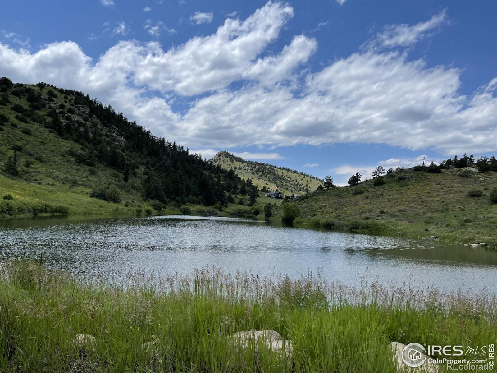 64 Bobcat Mountain Court Livermore CO 80536