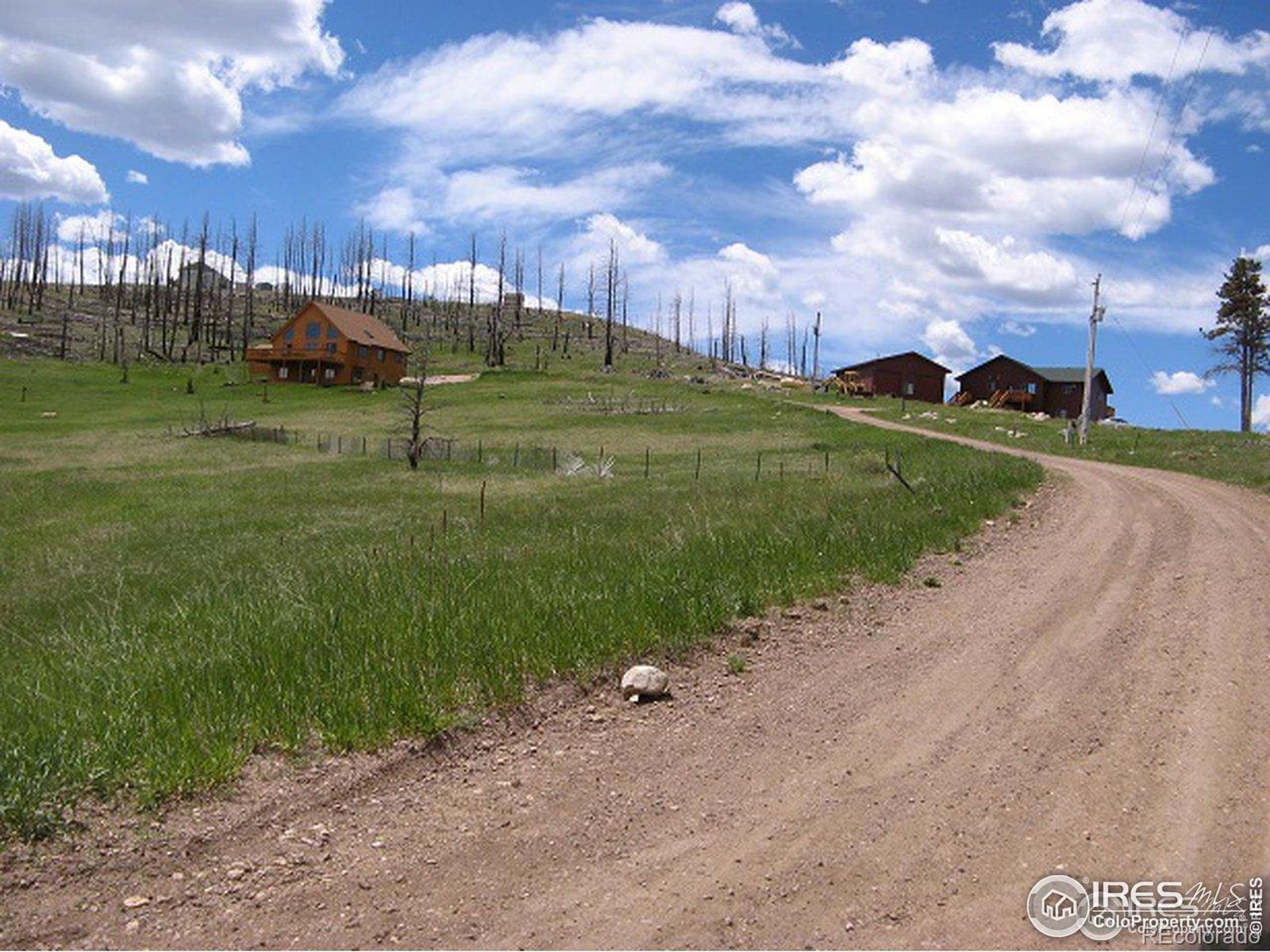 64 Bobcat Mountain Court Livermore CO 80536