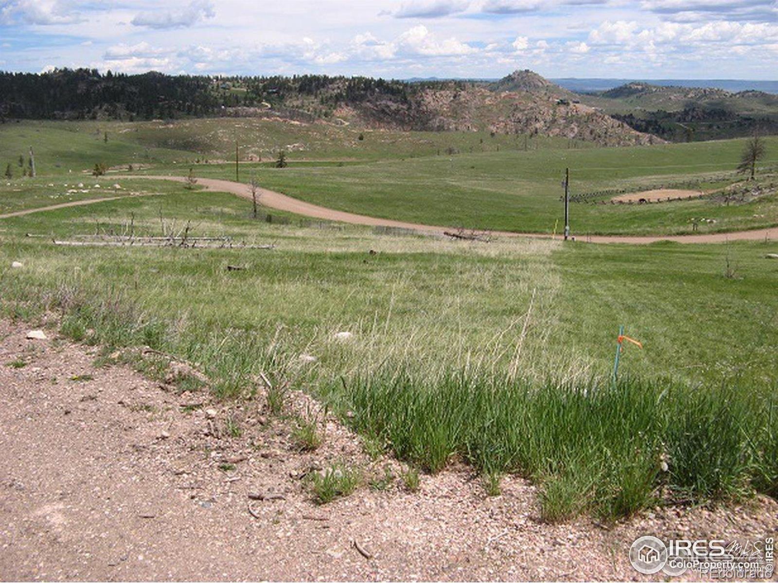 64 Bobcat Mountain Court Livermore CO 80536
