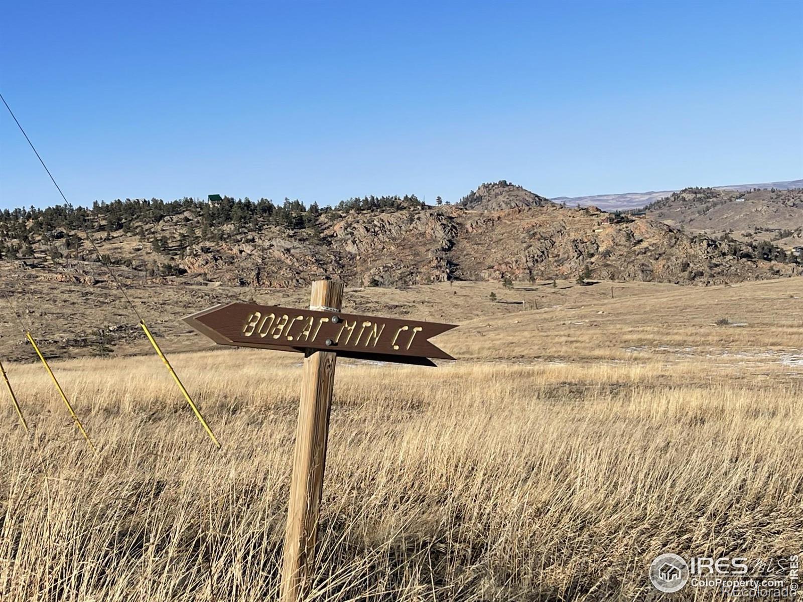 64 Bobcat Mountain Court Livermore CO 80536