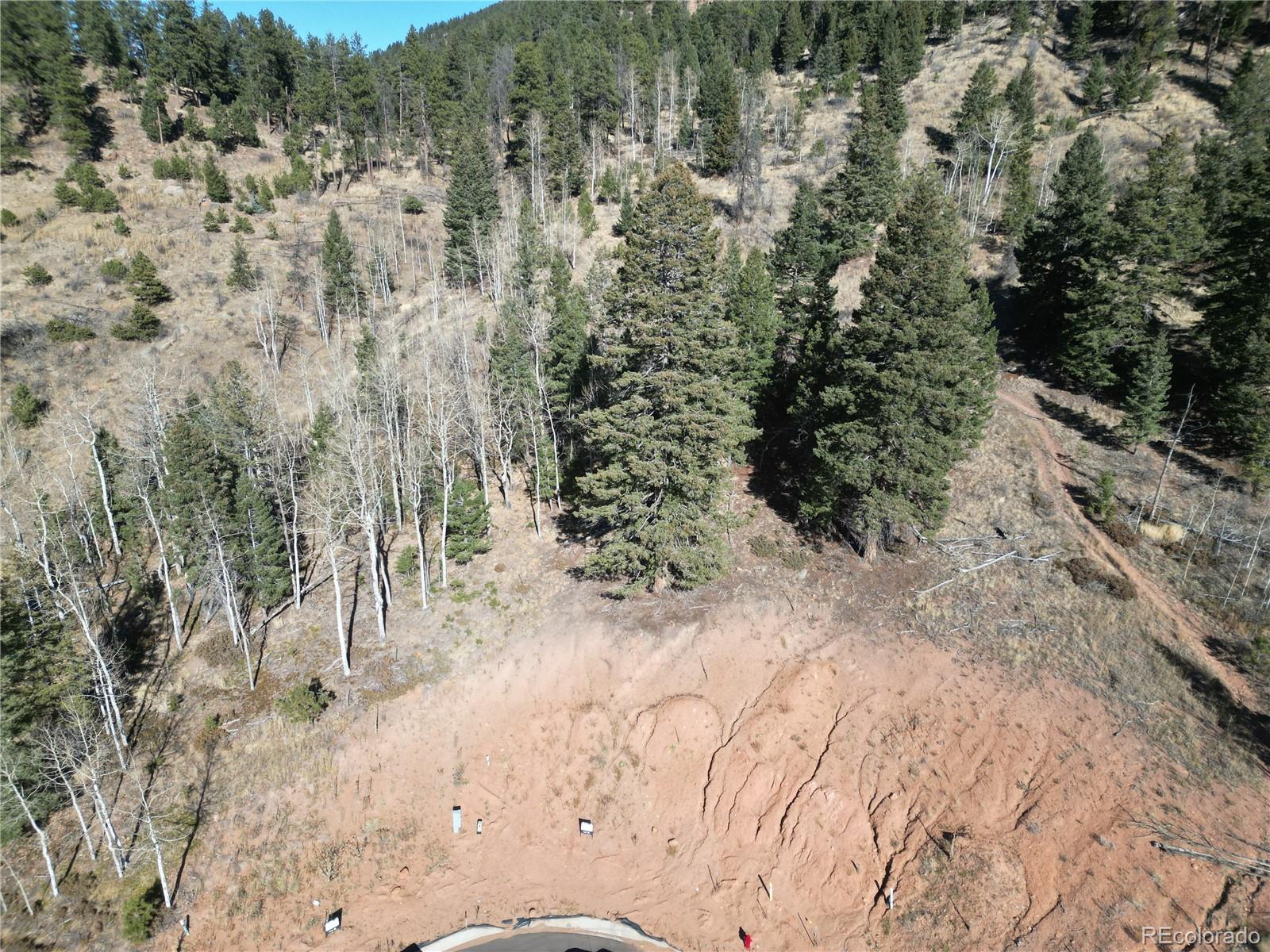 15 Blue Haven Place Woodland Park CO 80863