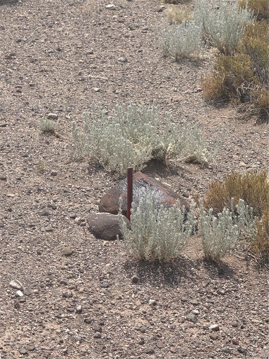 000 19th Street North Blanca CO 81123