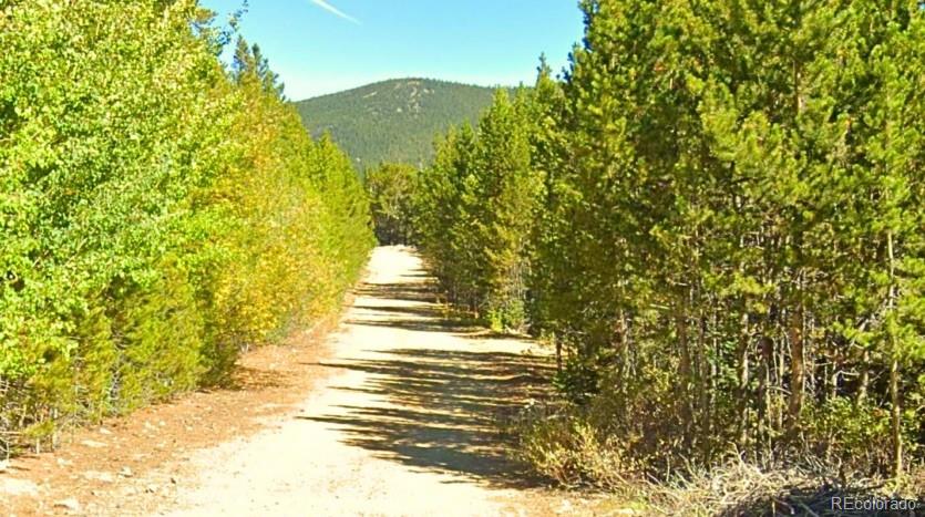 Lot 339 Eva Road Idaho Springs CO 80452