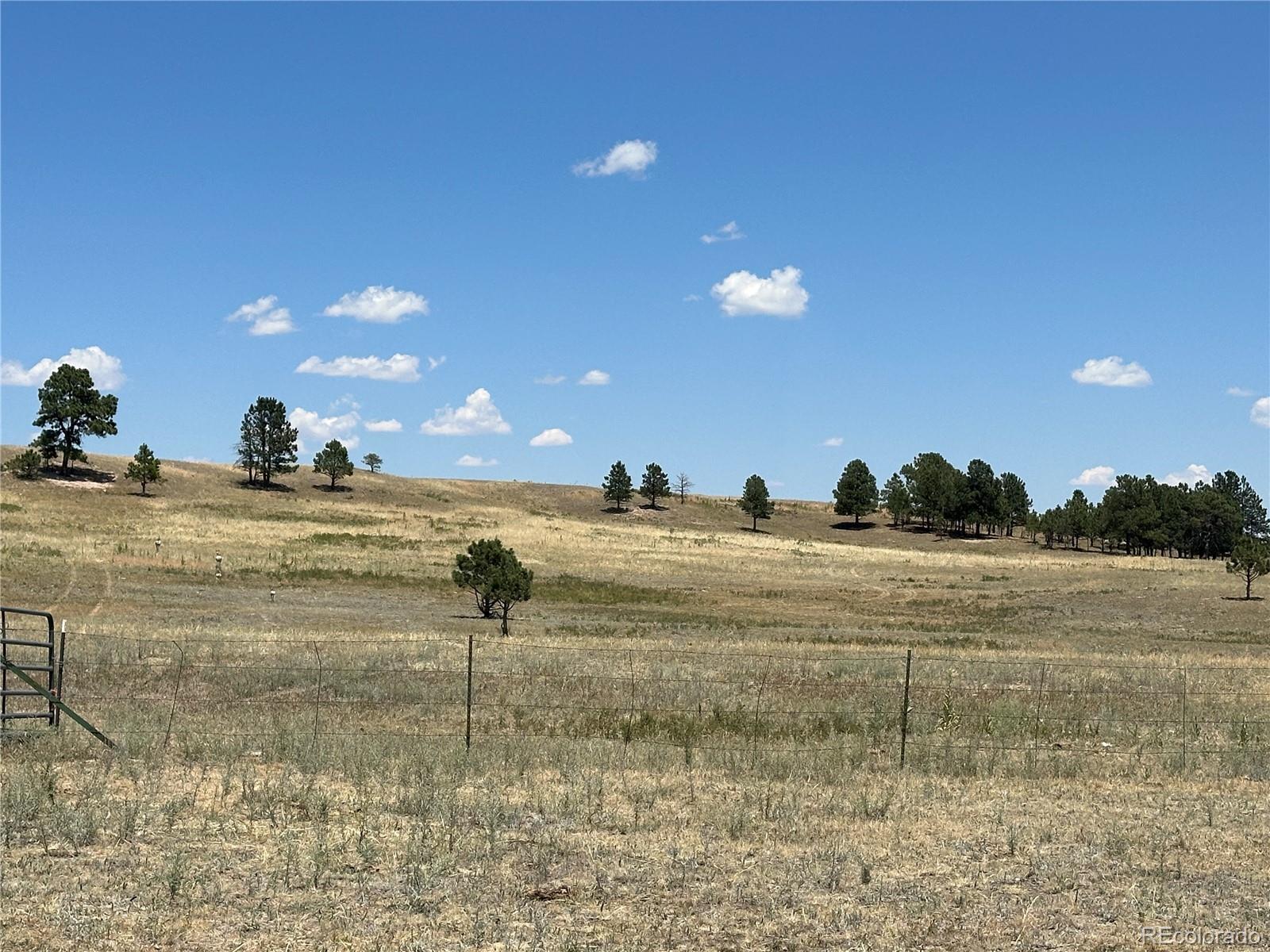 Goodson Road Peyton CO 80831