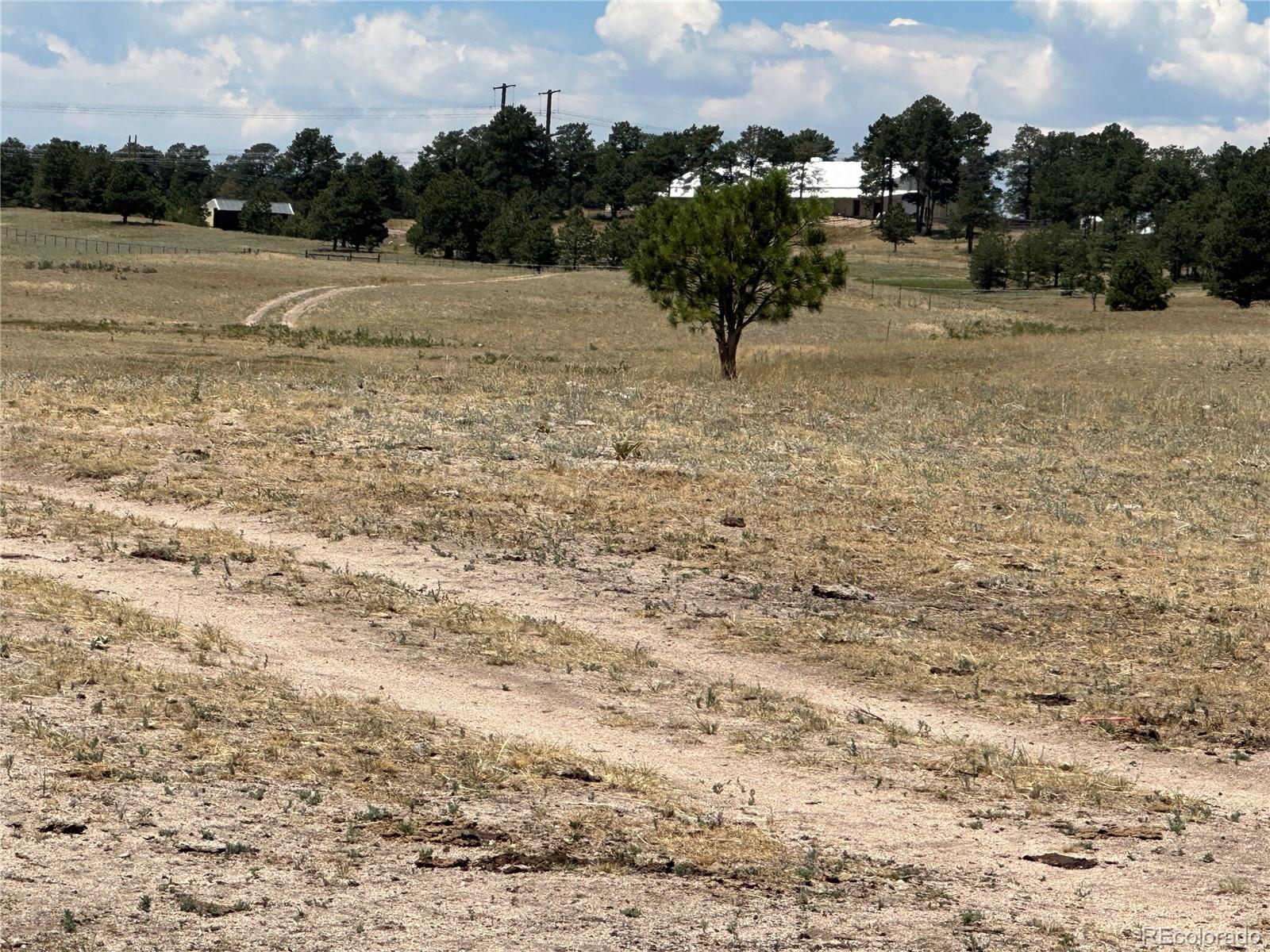 Goodson Road Peyton CO 80831