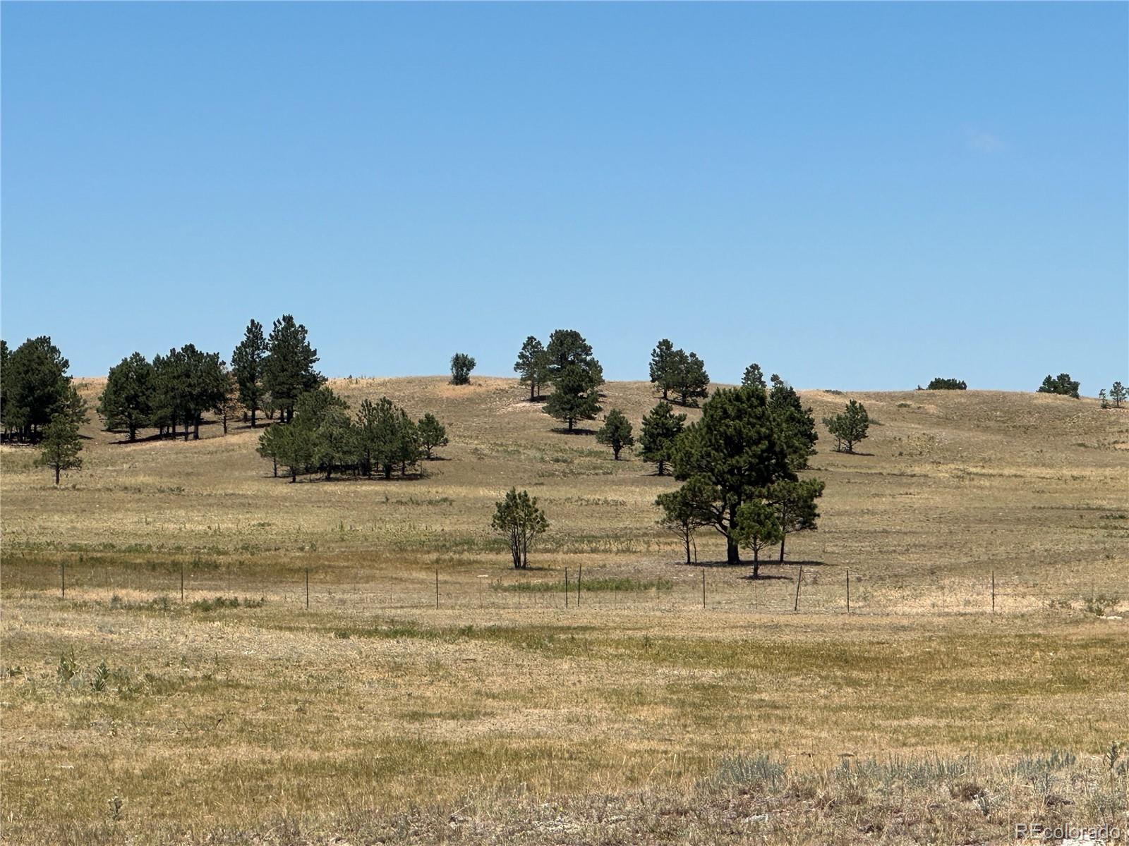 Goodson Road Peyton CO 80831