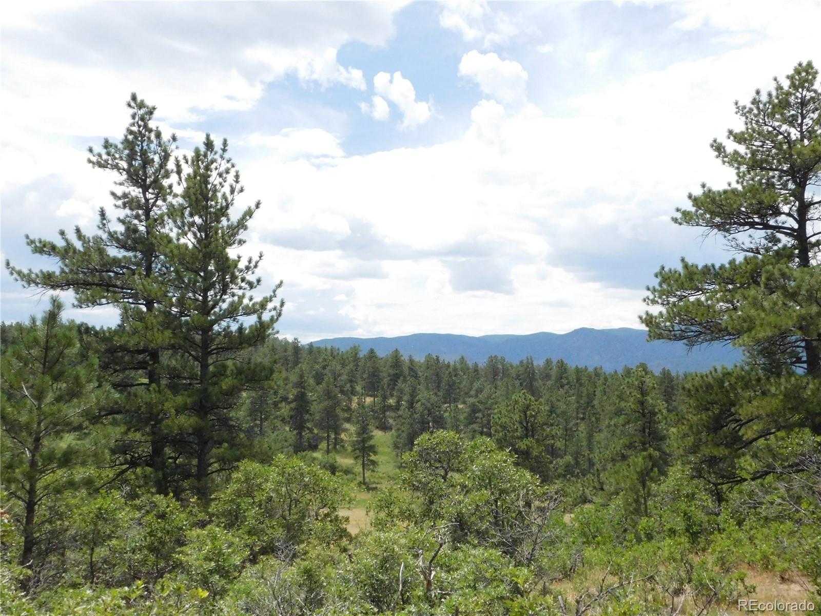 7069 Pasque Court Larkspur CO 80118