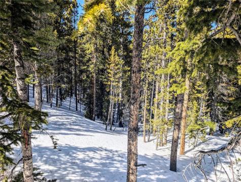 Lot 234 Alice Road Idaho Springs CO 80453