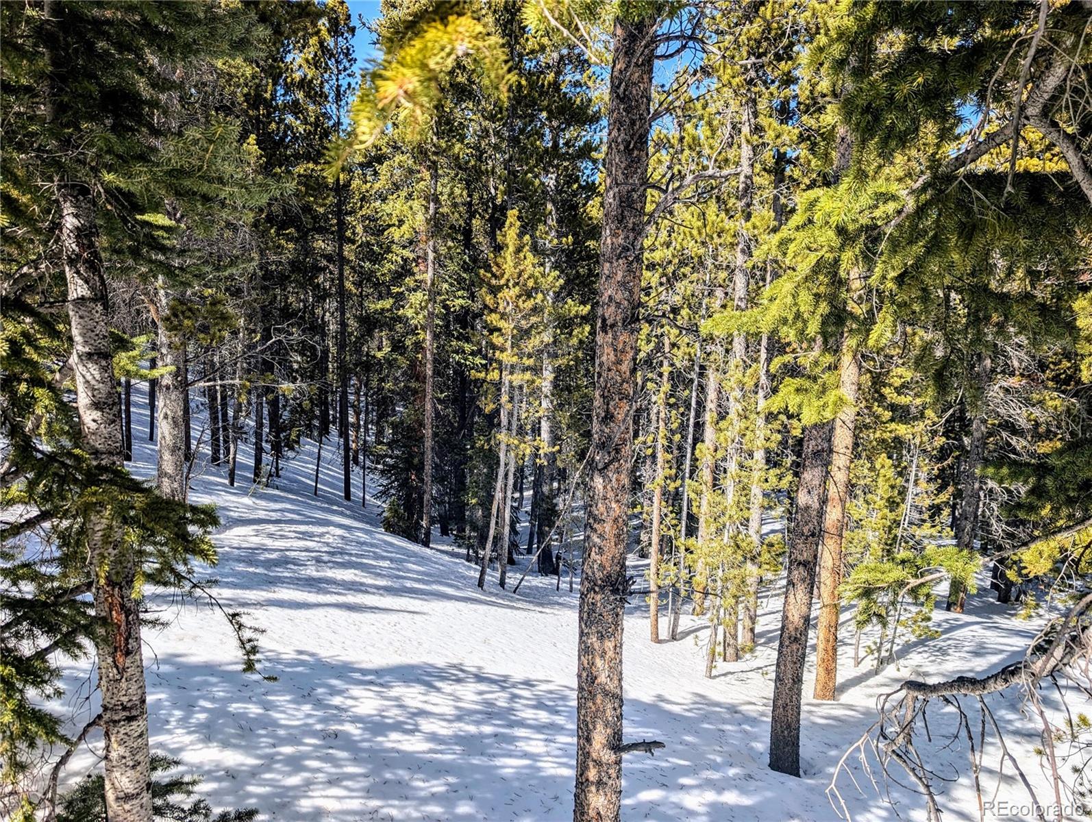 Lot 234 Alice Road Idaho Springs CO 80453