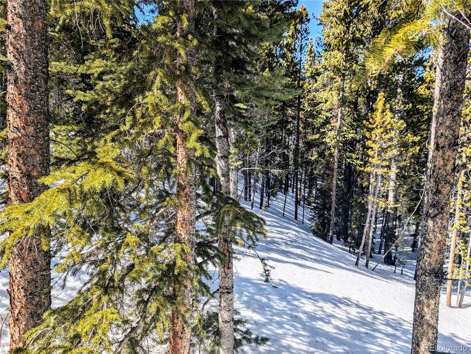 Lot 234 Alice Road Idaho Springs CO 80453