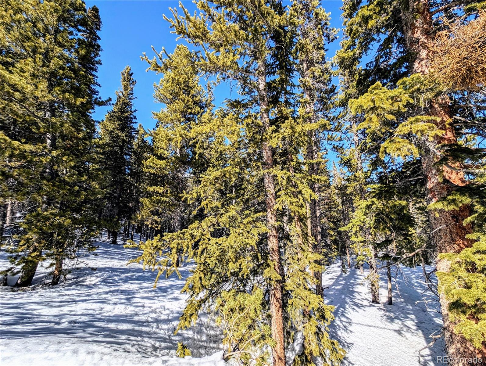 Lot 234 Alice Road Idaho Springs CO 80453