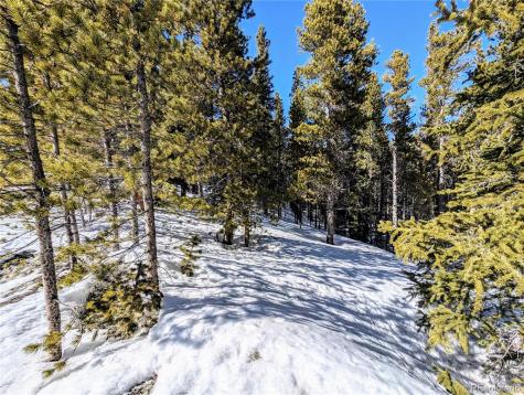 Lot 234 Alice Road Idaho Springs CO 80453