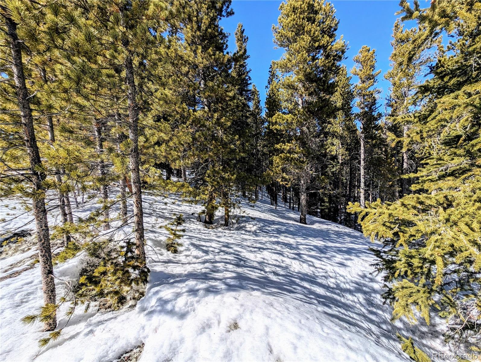 Lot 234 Alice Road Idaho Springs CO 80453
