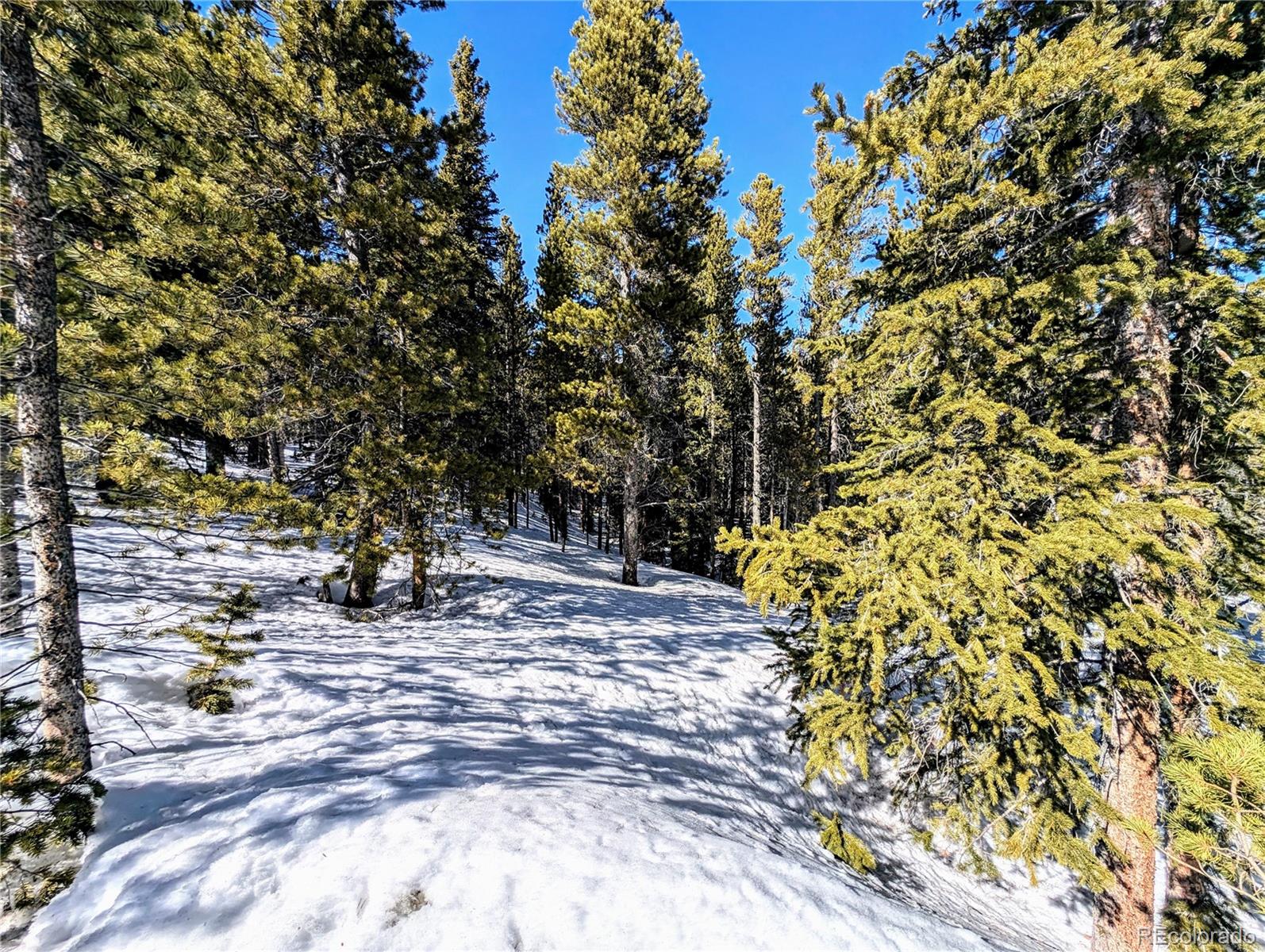 Lot 234 Alice Road Idaho Springs CO 80453