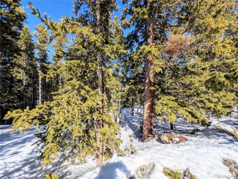 Lot 234 Alice Road Idaho Springs CO 80453