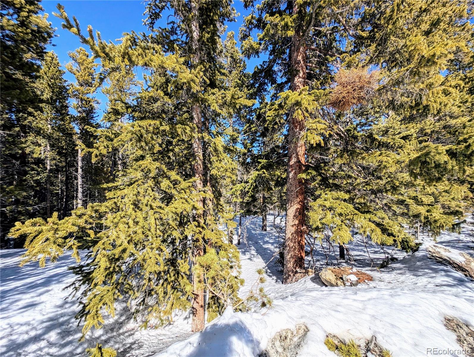 Lot 234 Alice Road Idaho Springs CO 80453