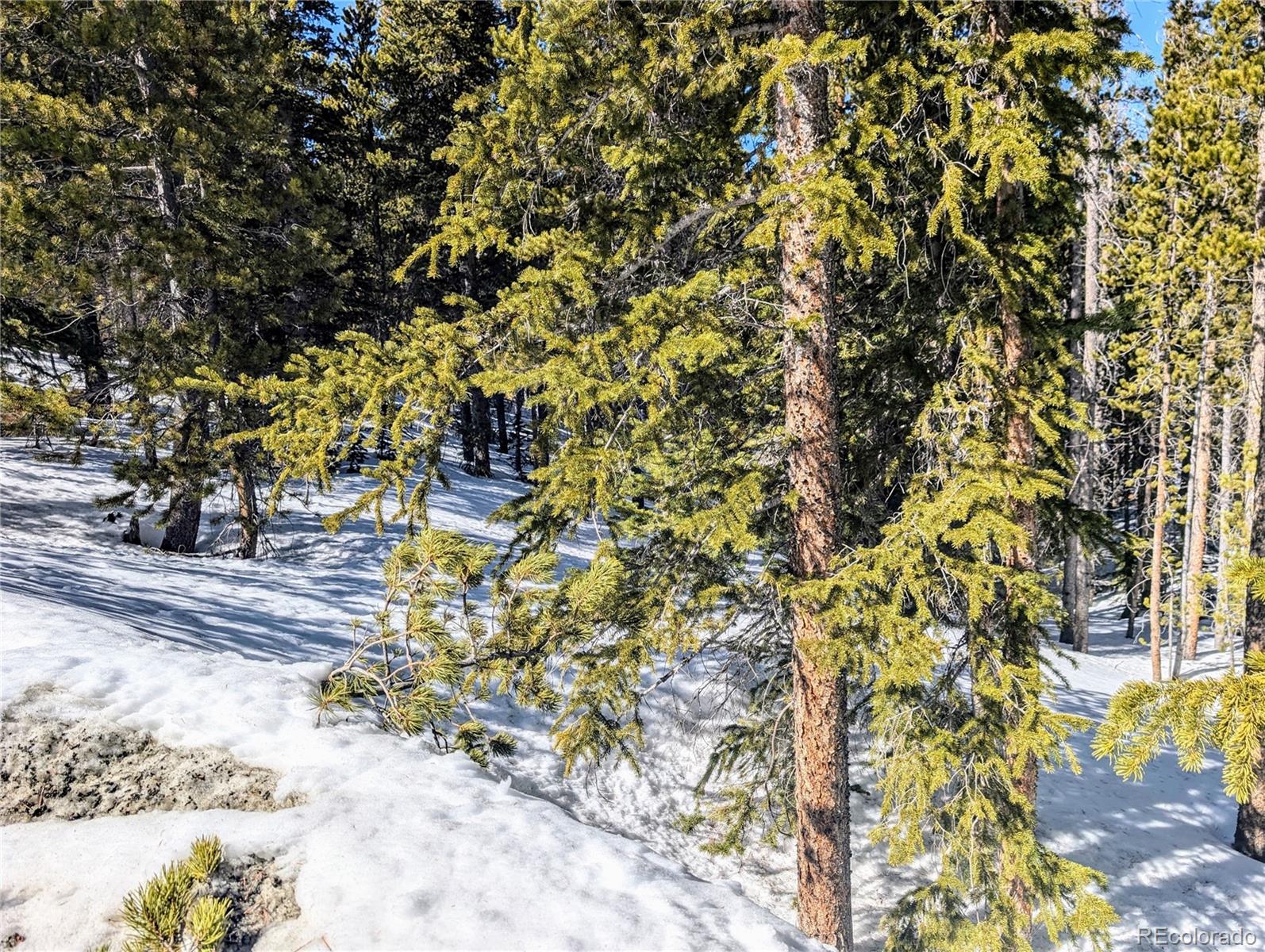 Lot 234 Alice Road Idaho Springs CO 80453