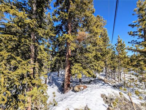 Lot 234 Alice Road Idaho Springs CO 80453