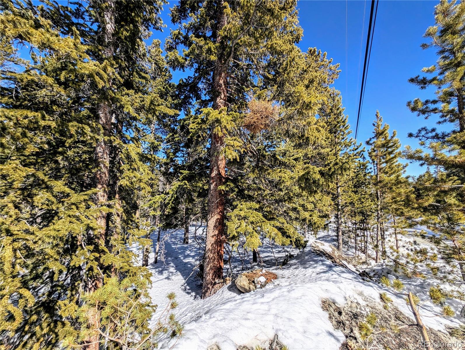Lot 234 Alice Road Idaho Springs CO 80453