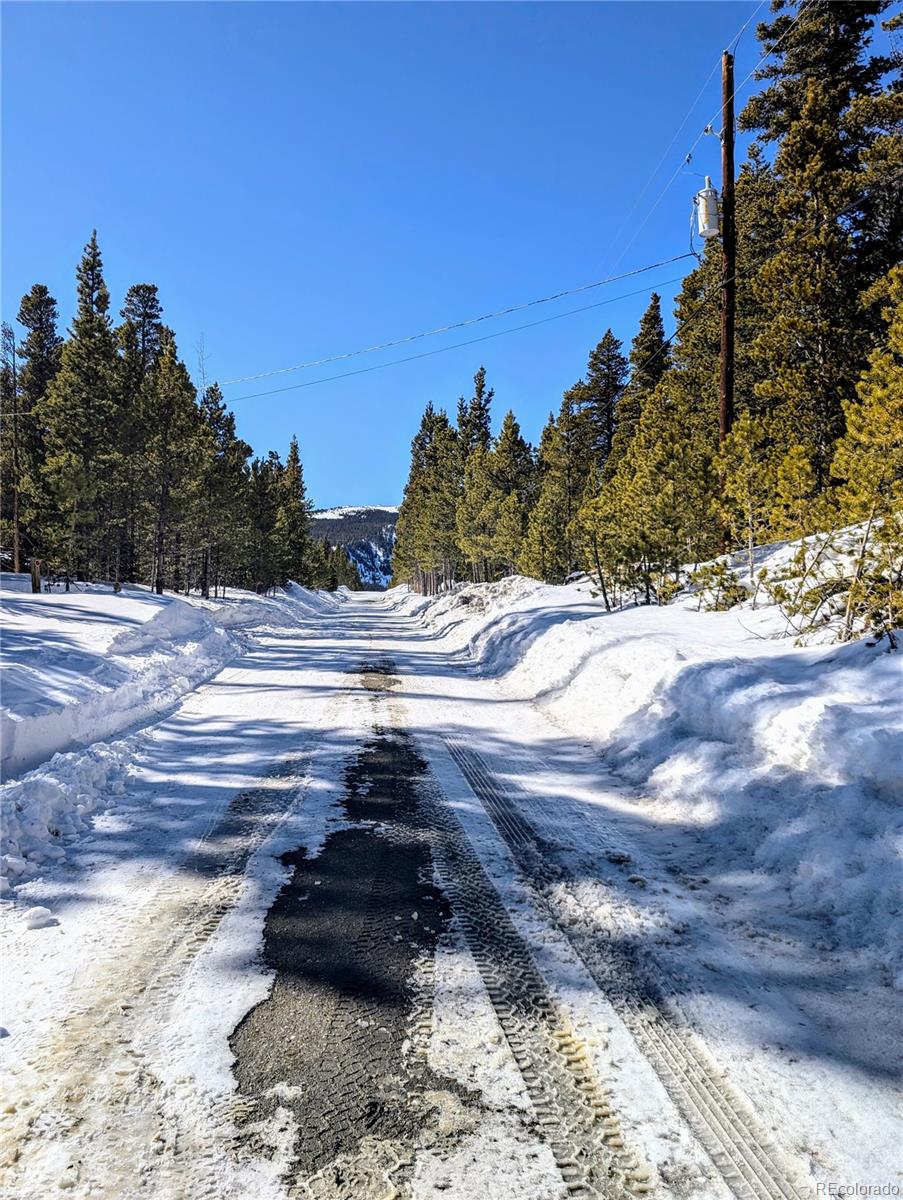 Lot 234 Alice Road Idaho Springs CO 80453