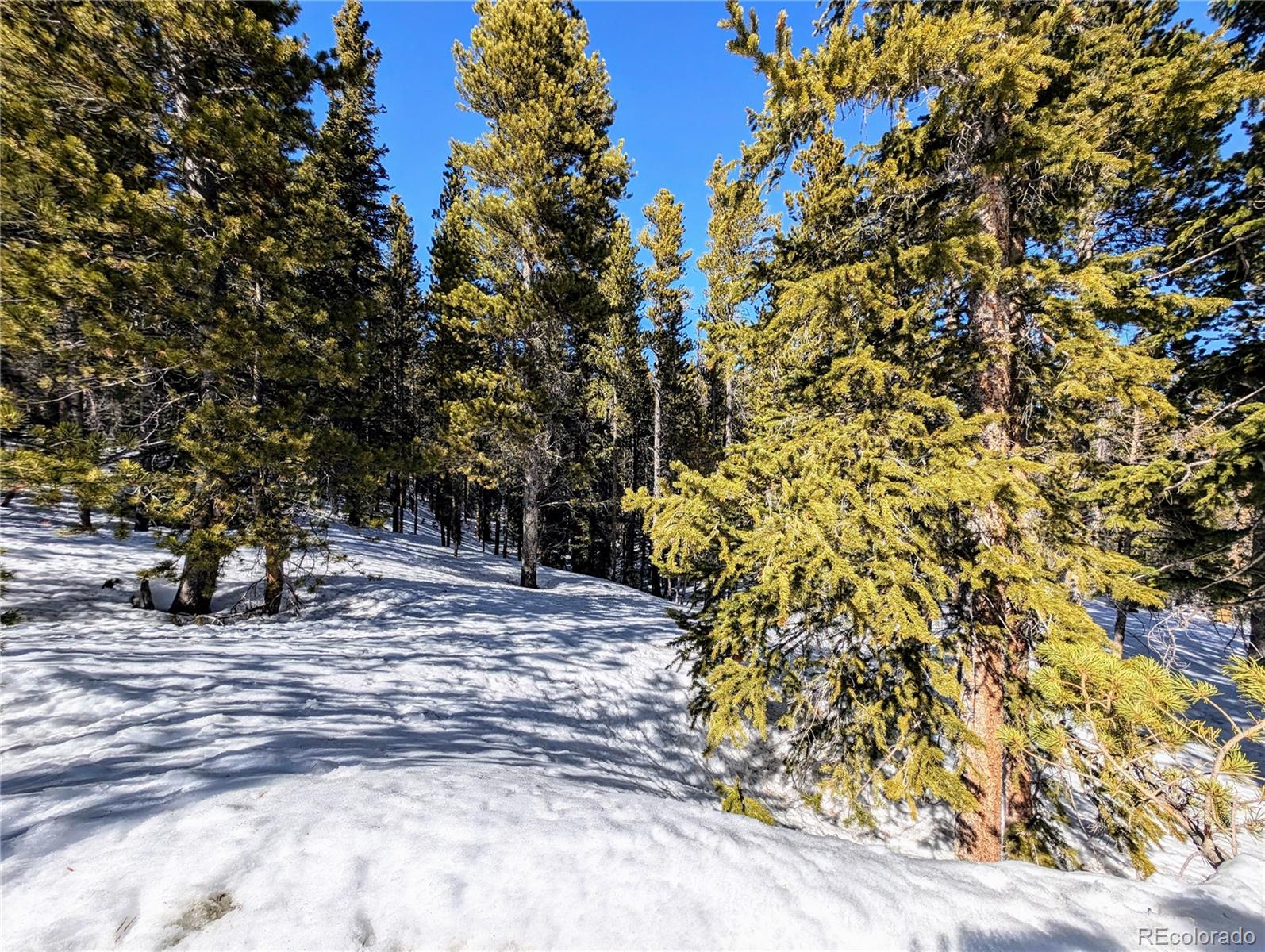 Lot 234 Alice Road Idaho Springs CO 80453