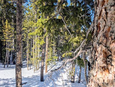 Lot 234 Alice Road Idaho Springs CO 80453