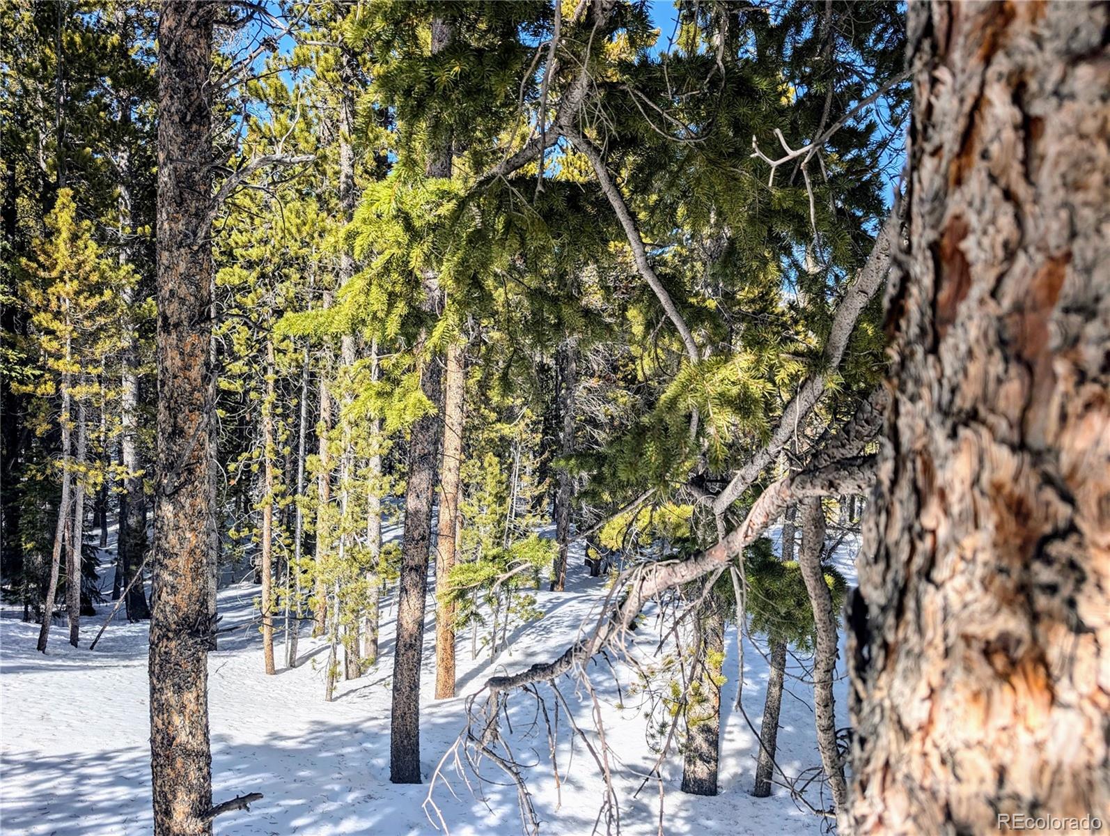 Lot 234 Alice Road Idaho Springs CO 80453