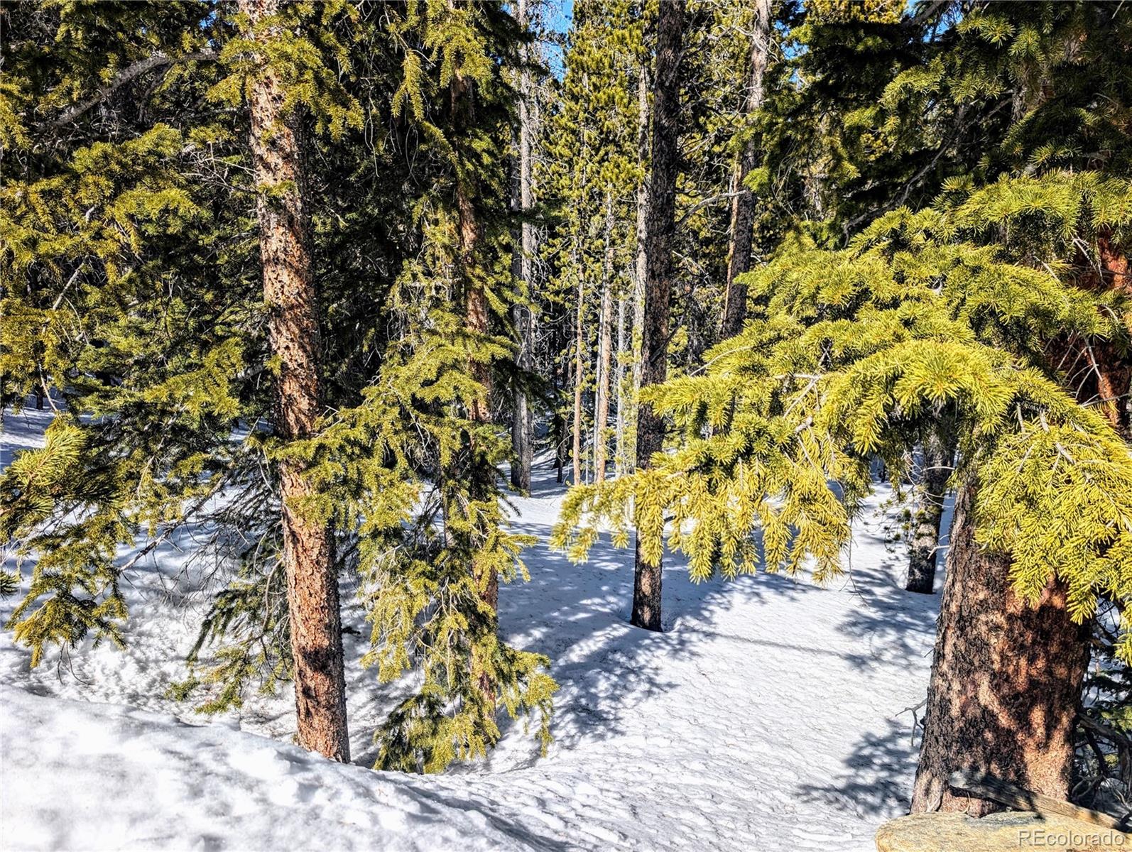 Lot 234 Alice Road Idaho Springs CO 80453
