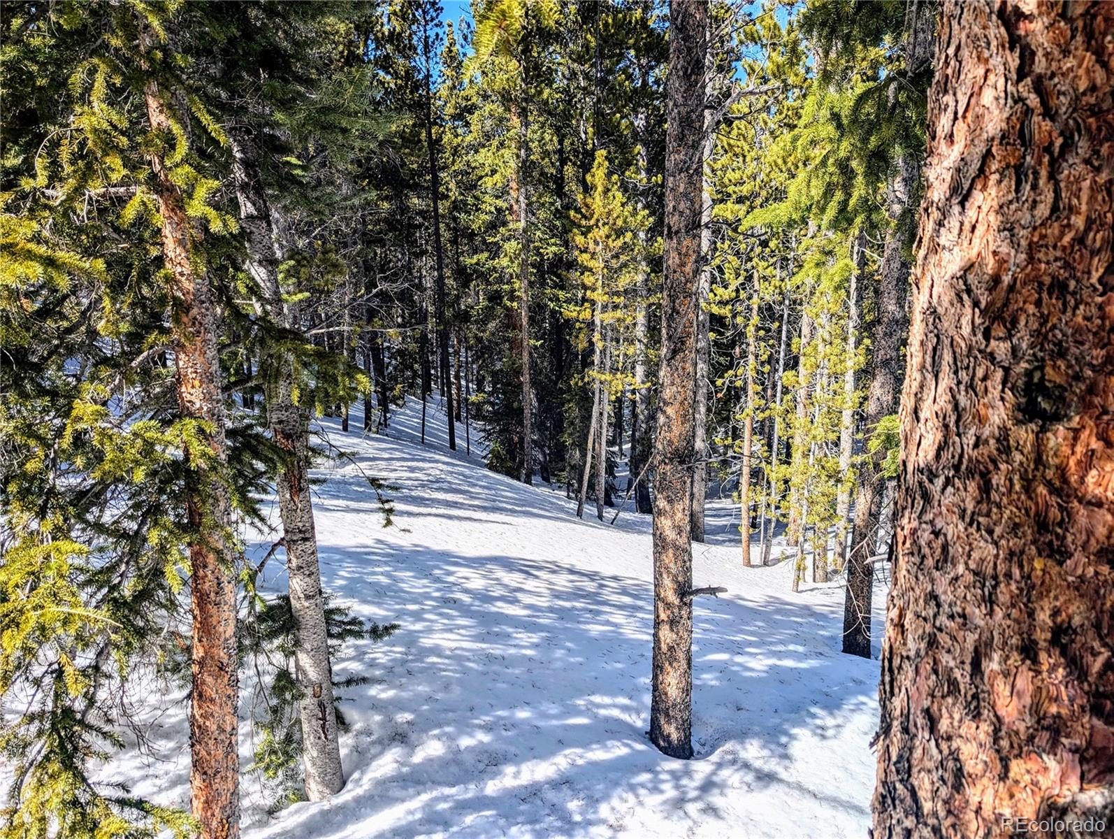 Lot 234 Alice Road Idaho Springs CO 80453