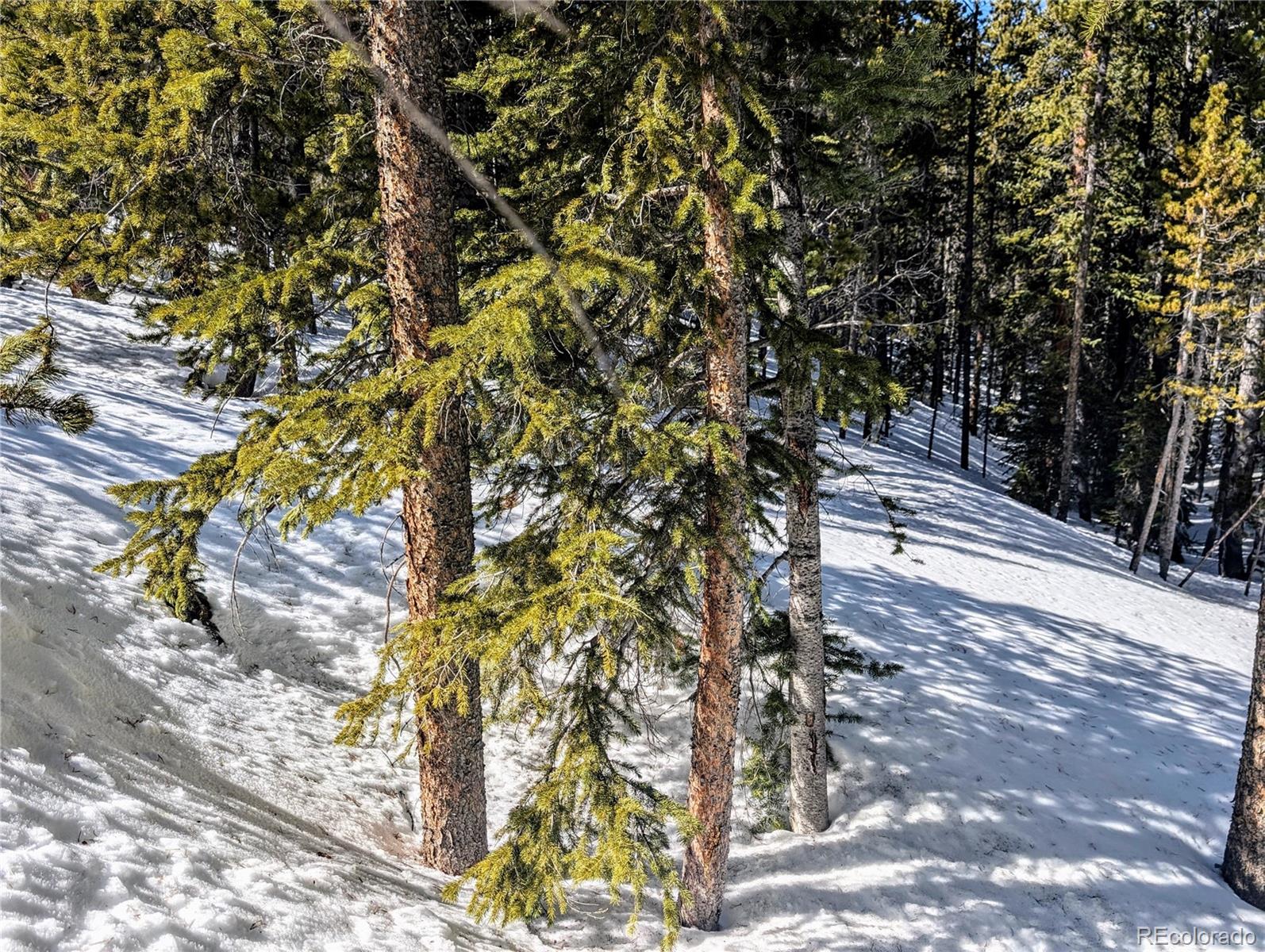 Lot 234 Alice Road Idaho Springs CO 80453
