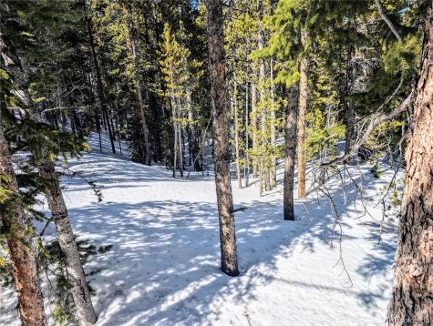 Lot 234 Alice Road Idaho Springs CO 80453
