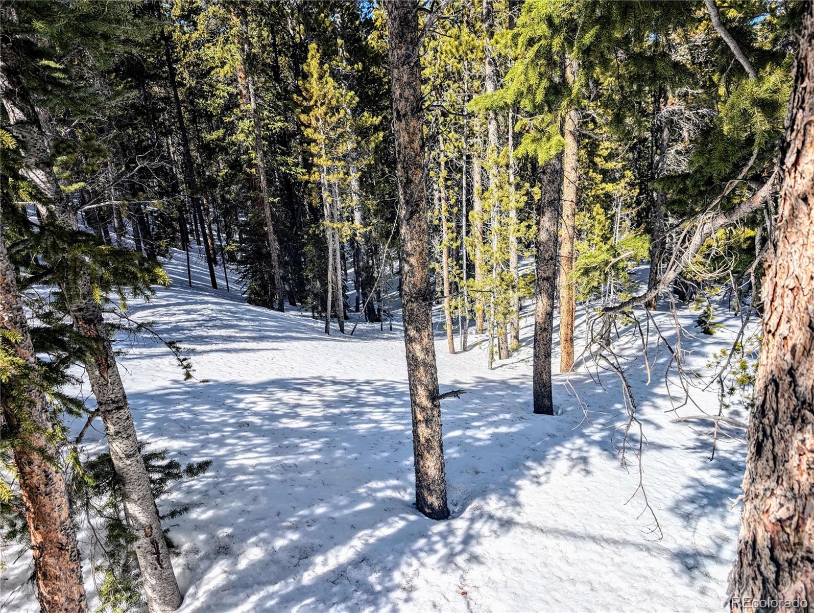 Lot 234 Alice Road Idaho Springs CO 80453