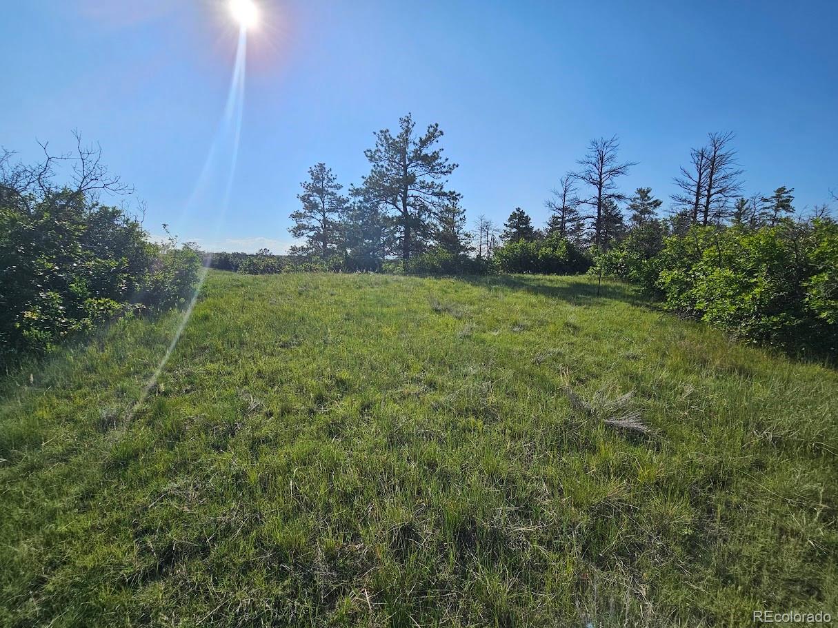 2937 Keep Drive Sedalia CO 80135
