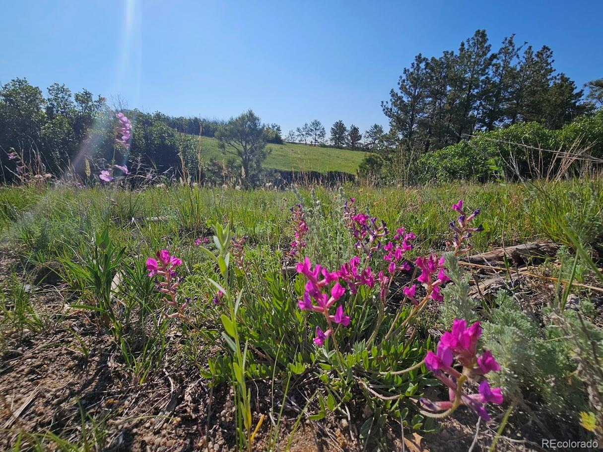 2937 Keep Drive Sedalia CO 80135