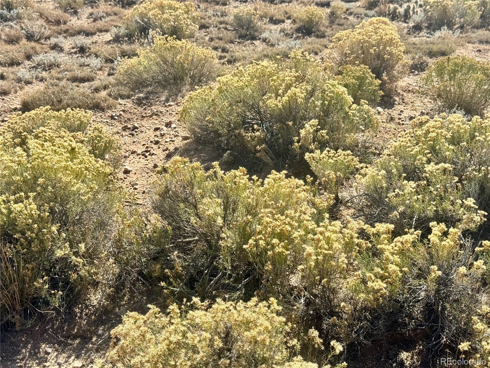 Lot 3 S 9th Street Blanca CO 81123