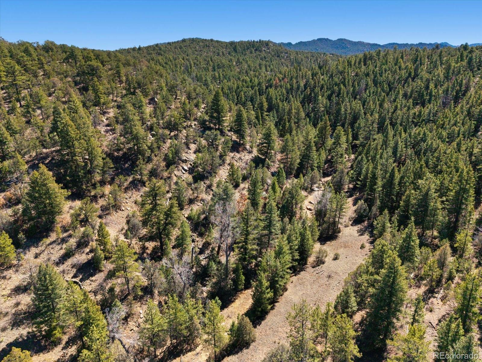 540 & 387 Chocktaw Drive Canon City CO 81212