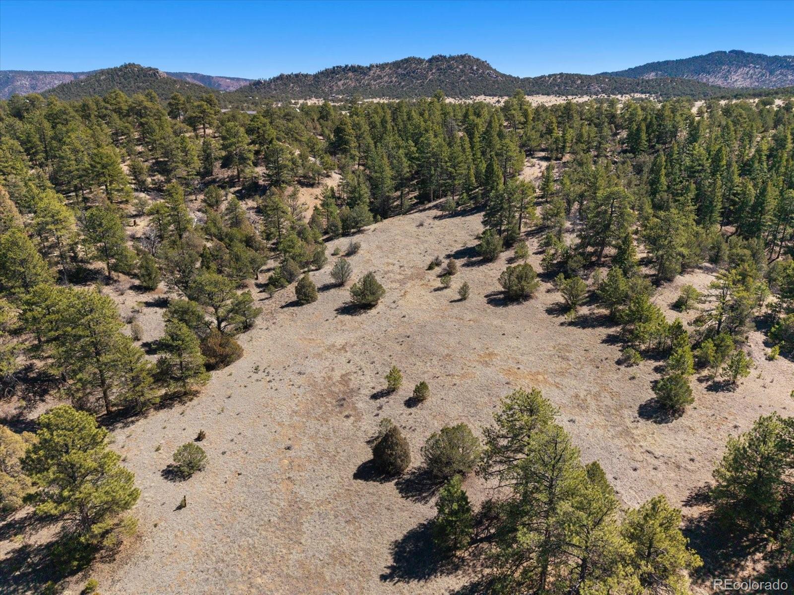 540 & 387 Chocktaw Drive Canon City CO 81212