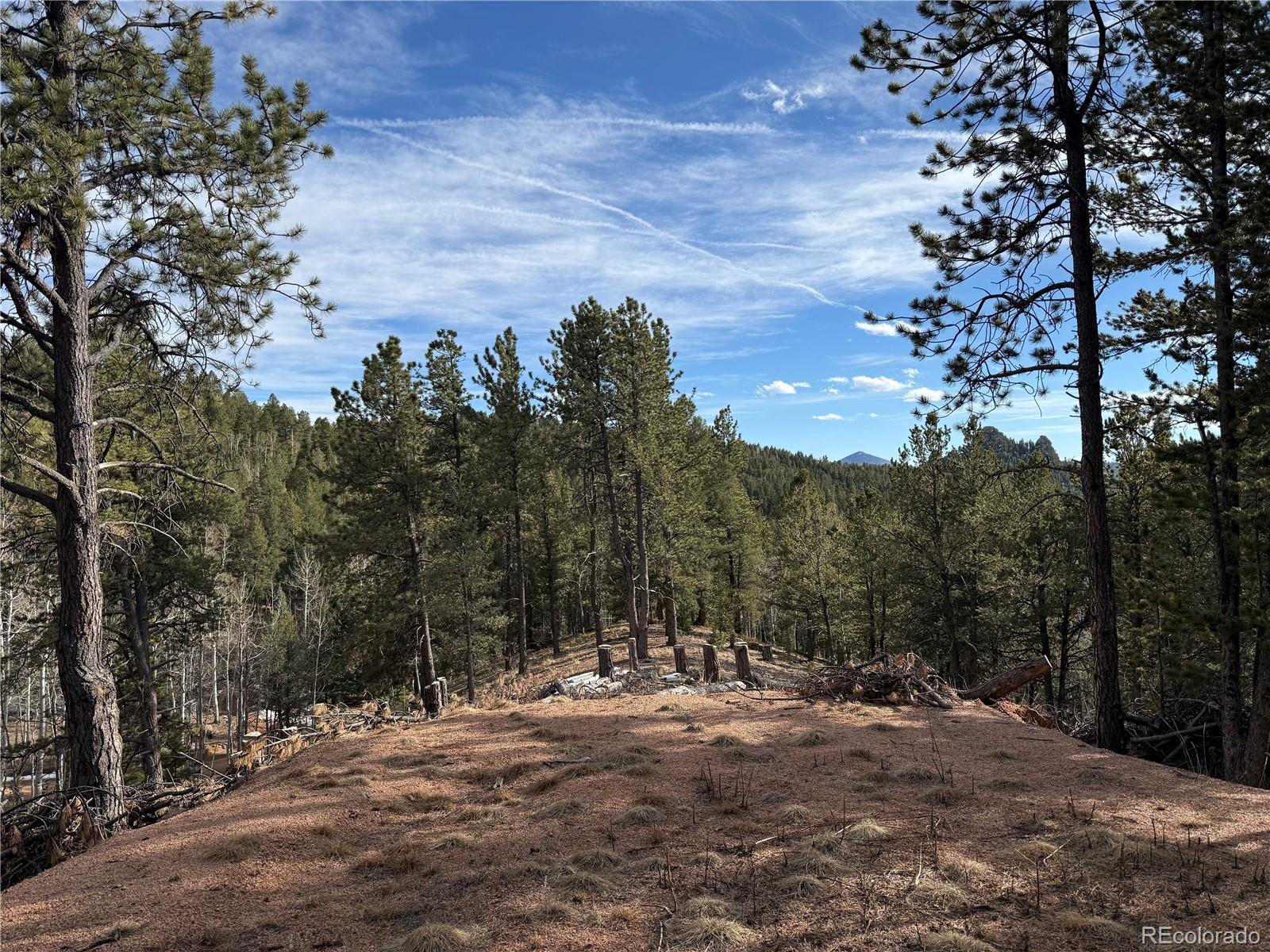 162 Eagle Drive Divide CO 80813