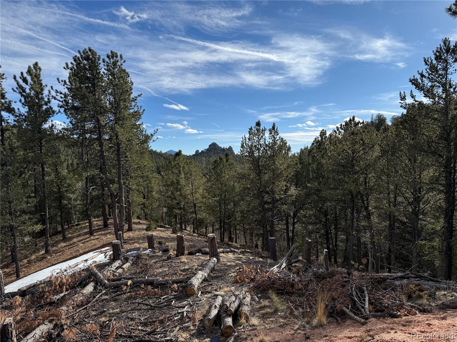 162 Eagle Drive Divide CO 80813