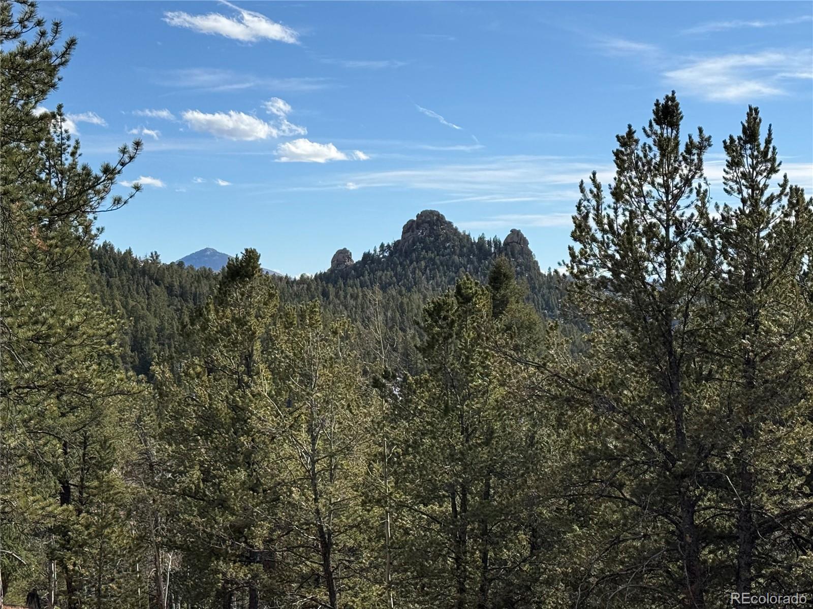 162 Eagle Drive Divide CO 80813