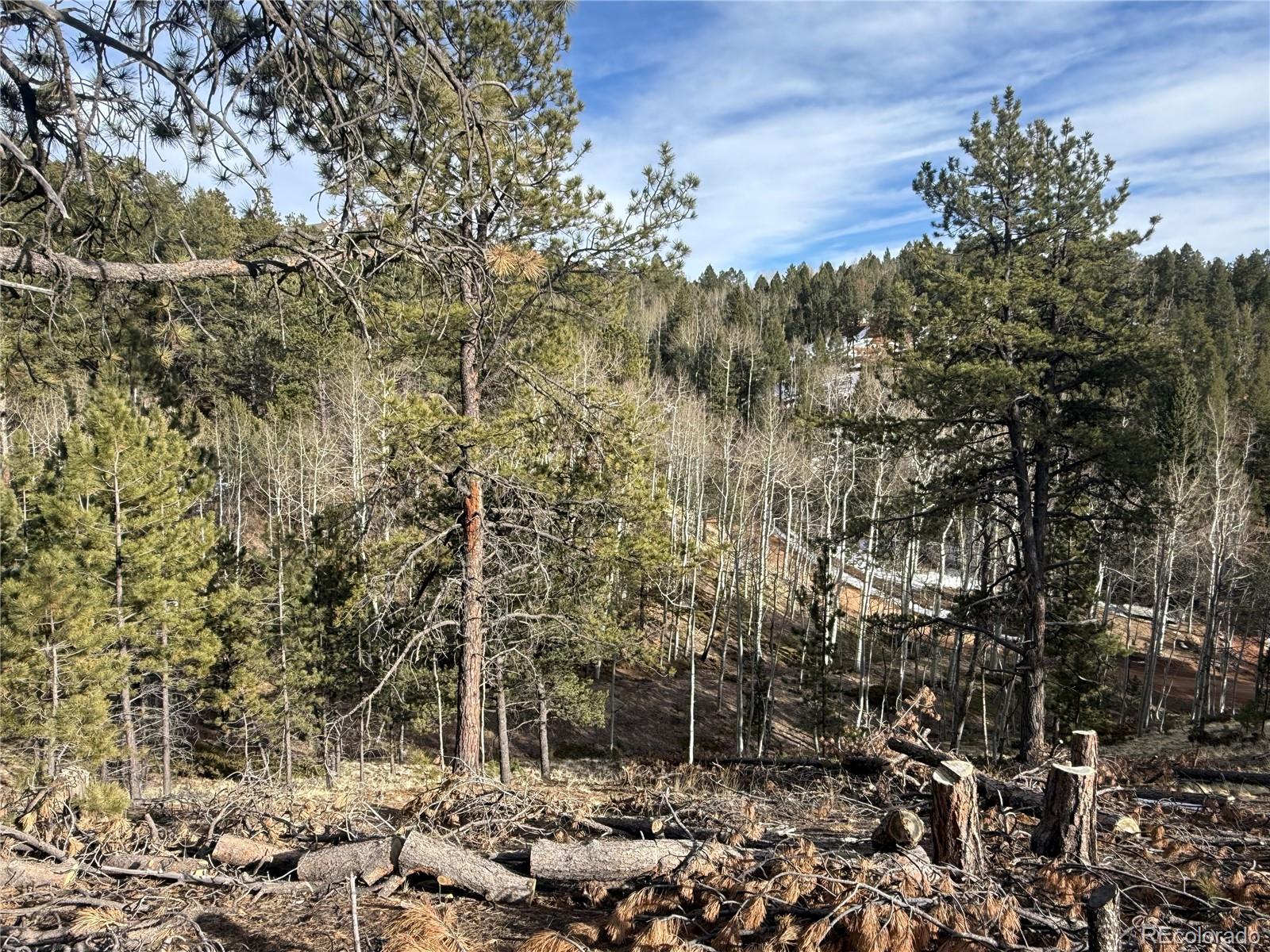 162 Eagle Drive Divide CO 80813