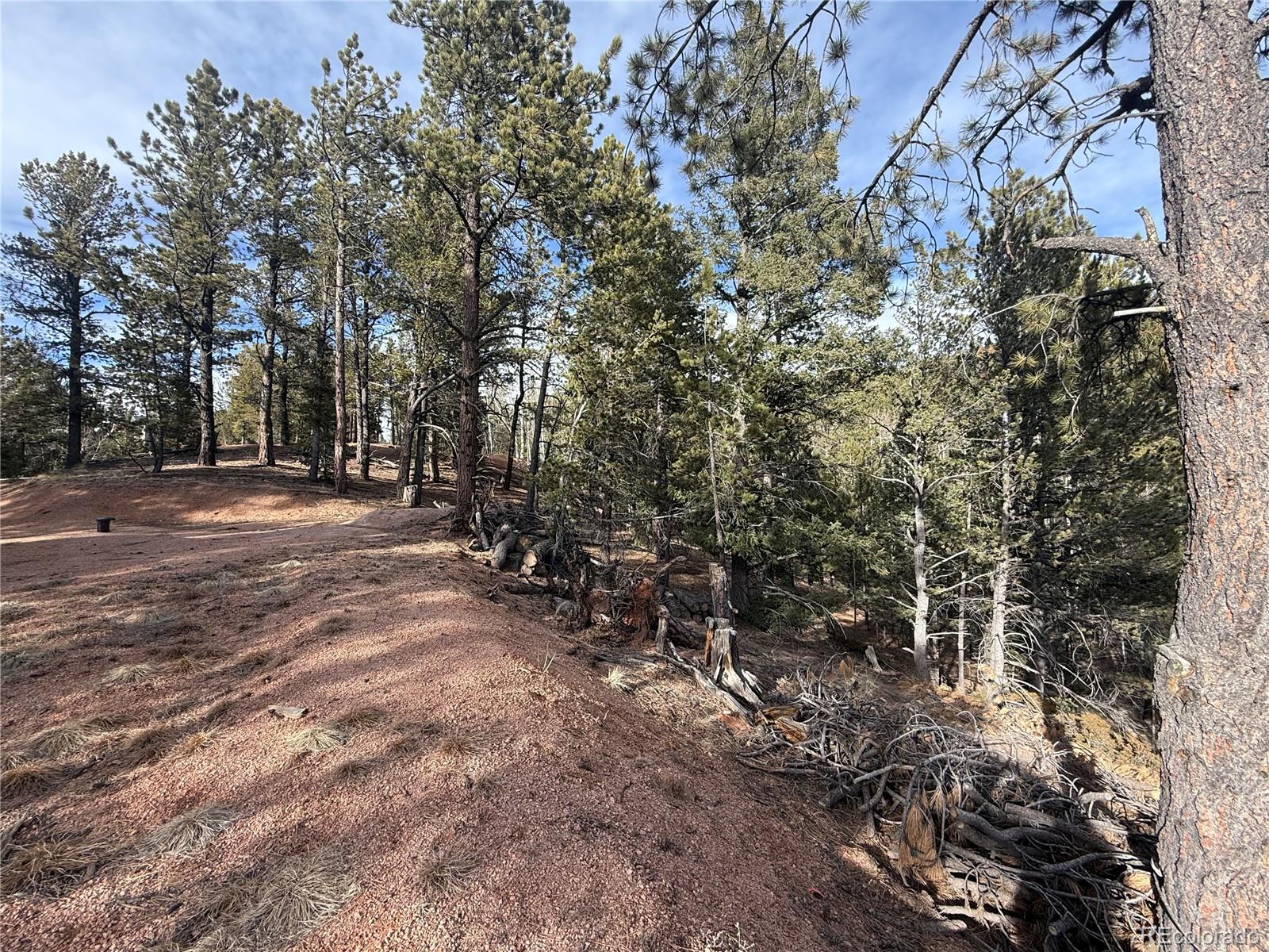 162 Eagle Drive Divide CO 80813